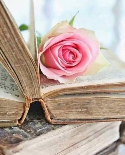 عکس کتاب فانتزی برای پروفایل
