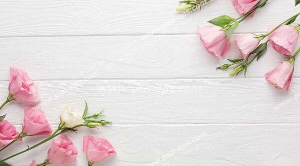 عکس های گل های قشنگ و زیبا