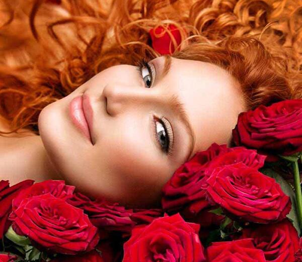 عکس گل های قرمز زیبا