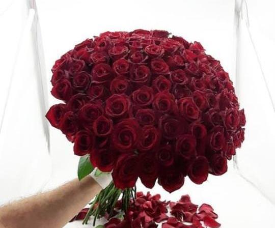 عکس گل های قرمز زیبا