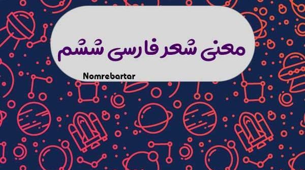 عکس کتاب فارسی ششم شعر ای مادر عزیز