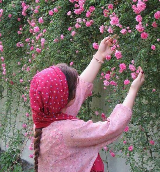 عکس گلهای زیبا فانتزی
