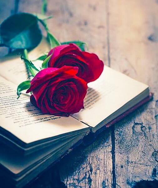 عکس گلهای زیبا فانتزی
