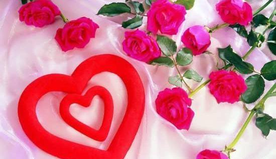 عکس زیبای گل های عاشقانه