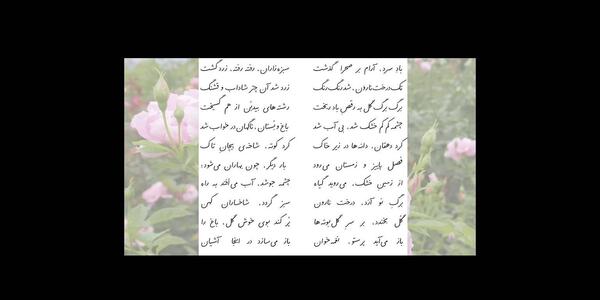 عکس کتاب فارسی پنجم شعر رقص باد خنده گل