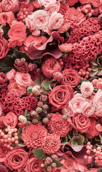 دانلود عکس گل های زیبا برای پس زمینه