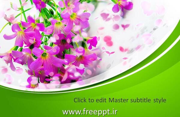 دانلود عکس گل های زیبا برای پاورپوینت