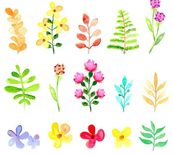 دانلود عکس گل های زیبا برای پاورپوینت