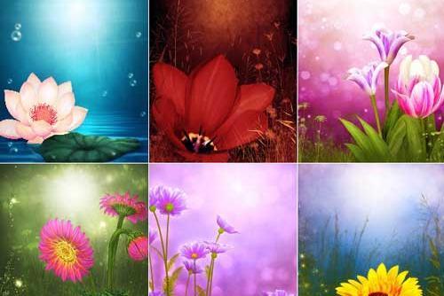 دانلود عکس پس زمینه گل های زیبا