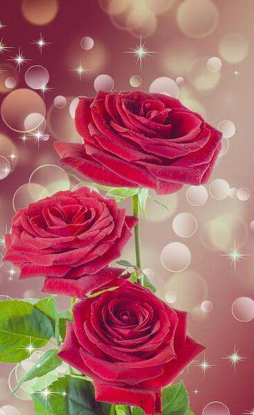 عکس گلهای جدید زیبا