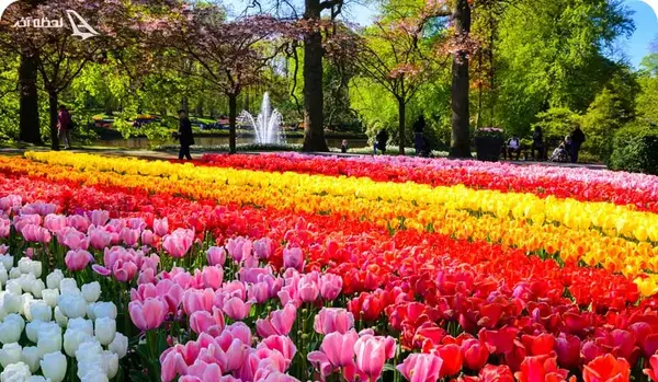 عکس زیباترین باغ گل های جهان