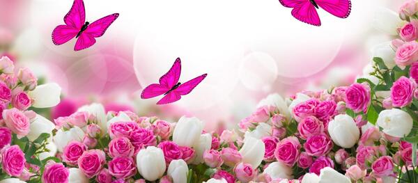 عکس تصویر گلهای زیبا برای پروفایل