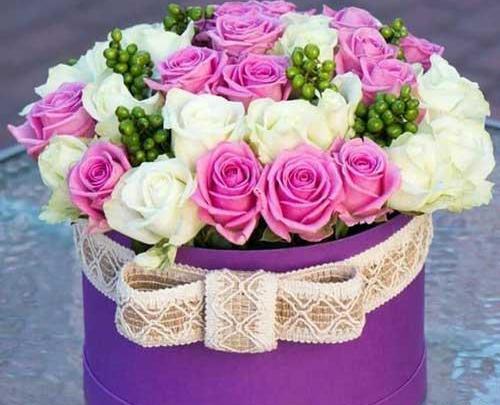 دانلود عکس گلهای زیبا برای پروفایل