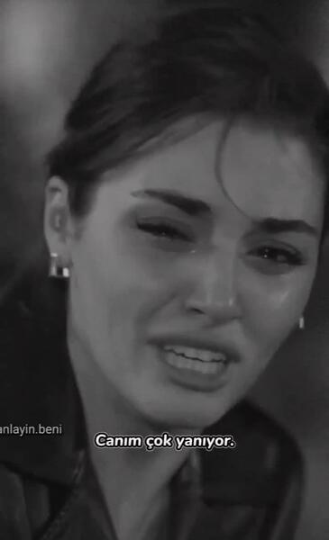 عکس گریه های هانده ارچل
