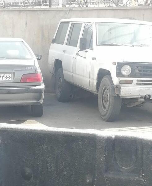 عکس گرگینه واقعی در همدان