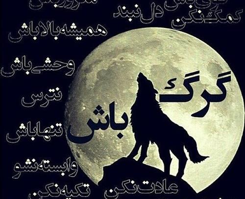 عکس گرگ با نوشته خفن