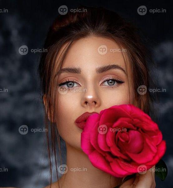 عکس زیبای گل رز قرمز