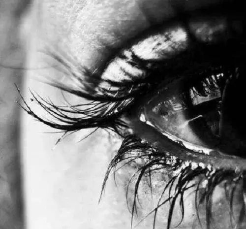 عکس های جدید گریه