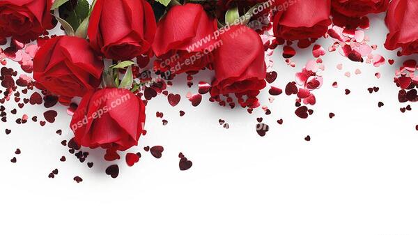 عکس گل رز قلبی