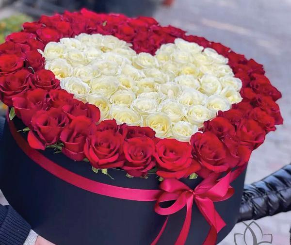 عکس گل رز قلب