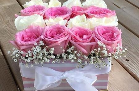 عکس گل رز برای هدیه