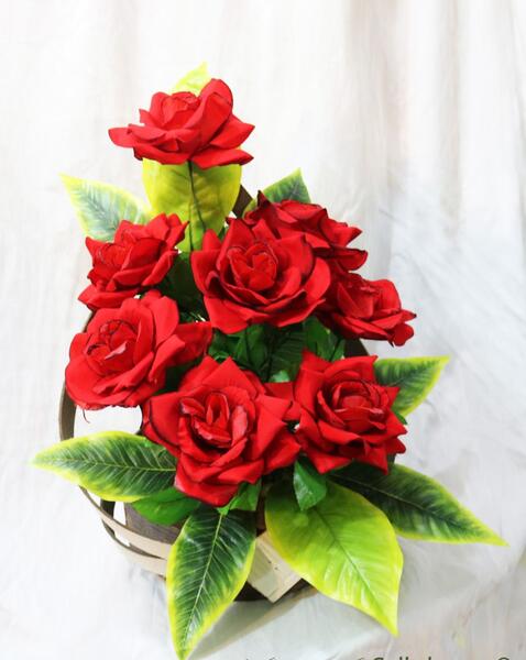 عکس گل رز برای هدیه