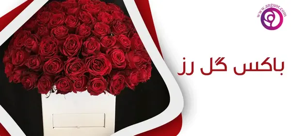 عکس گل های رز و محمدی