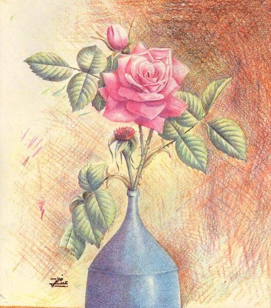عکس نقاشی گل رز با مداد رنگی