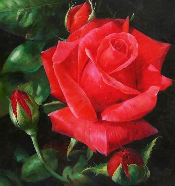 عکس نقاشی گل رز با مداد رنگی