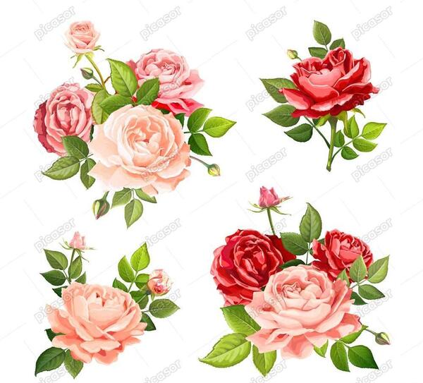 عکس دسته گل رز نارنجی