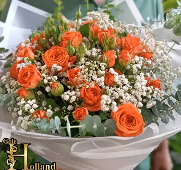 عکس گل های رز نارنجی