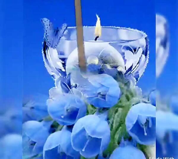 عکس متحرک گل رز ابی