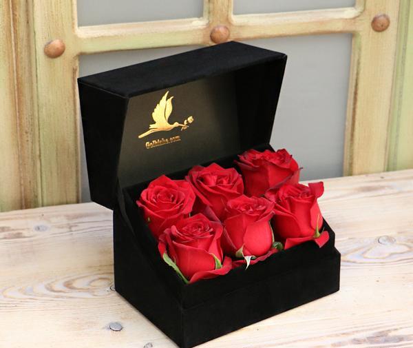 عکس گل رز قرمز کبود