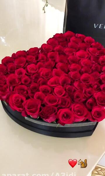 عکس گل رز قرمز فیک
