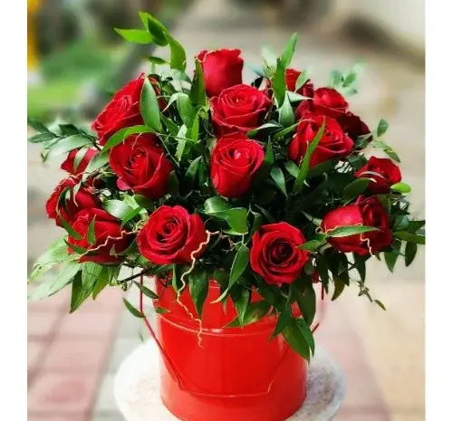 عکس های گل رز فرانسوی