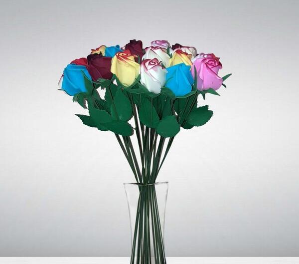 عکس غنچه های گل رز