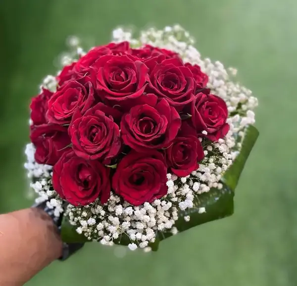 عکس گل رز عروسکی