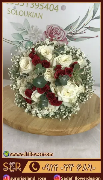 عکس گل رز عروسکی