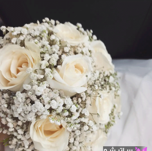عکس گل رز عروسکی