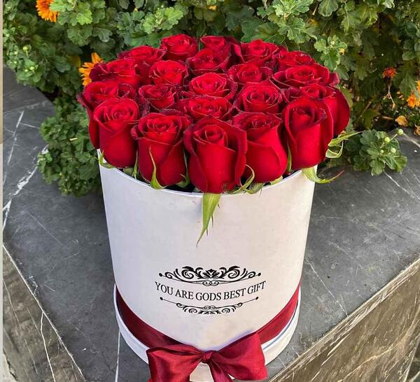 عکس گل رز تقدیم به عشقم