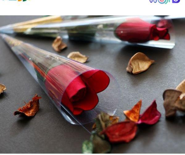 عکس شاخه گل رز برای هدیه