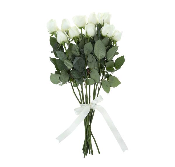 عکس شاخه گل رز سفید