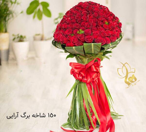 عکس شاخه گل رز قرمز