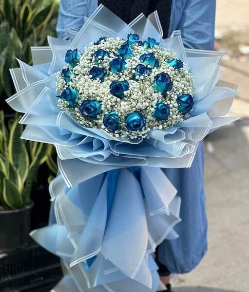 عکس شاخه گل رز ابی