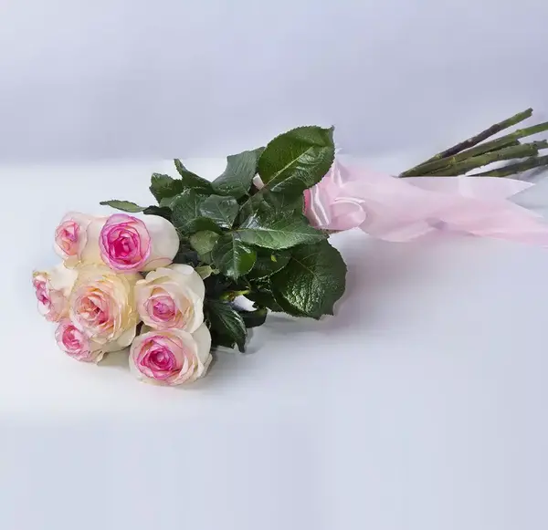 عکس شاخه گل رز صورتی