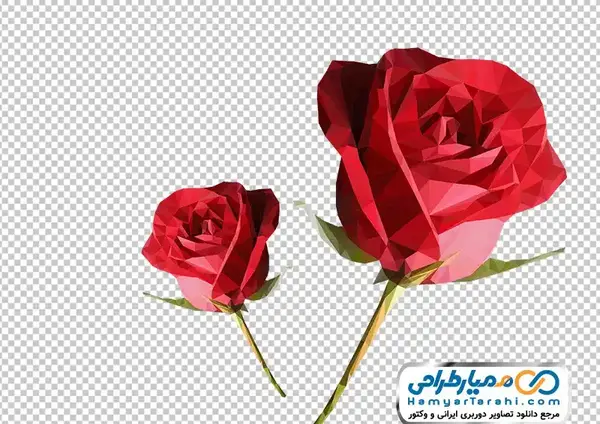 دانلود عکس گل رز سرخ
