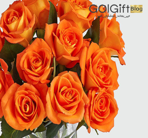 عکس گل های رز رنگی
