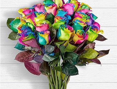 عکس دسته گل رز رنگی