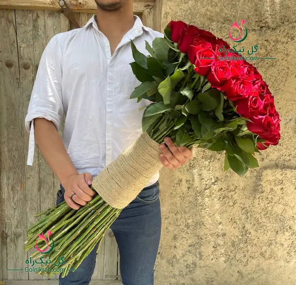 عکس گل رز برفی