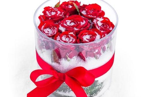 عکس گل رز برفی